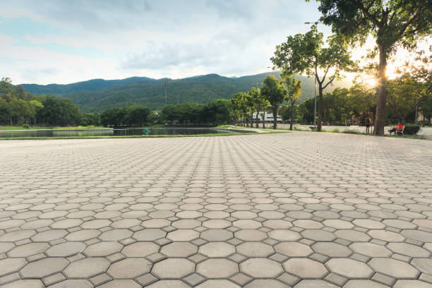 Best Residential Paver Driveway  in Kinston, NC